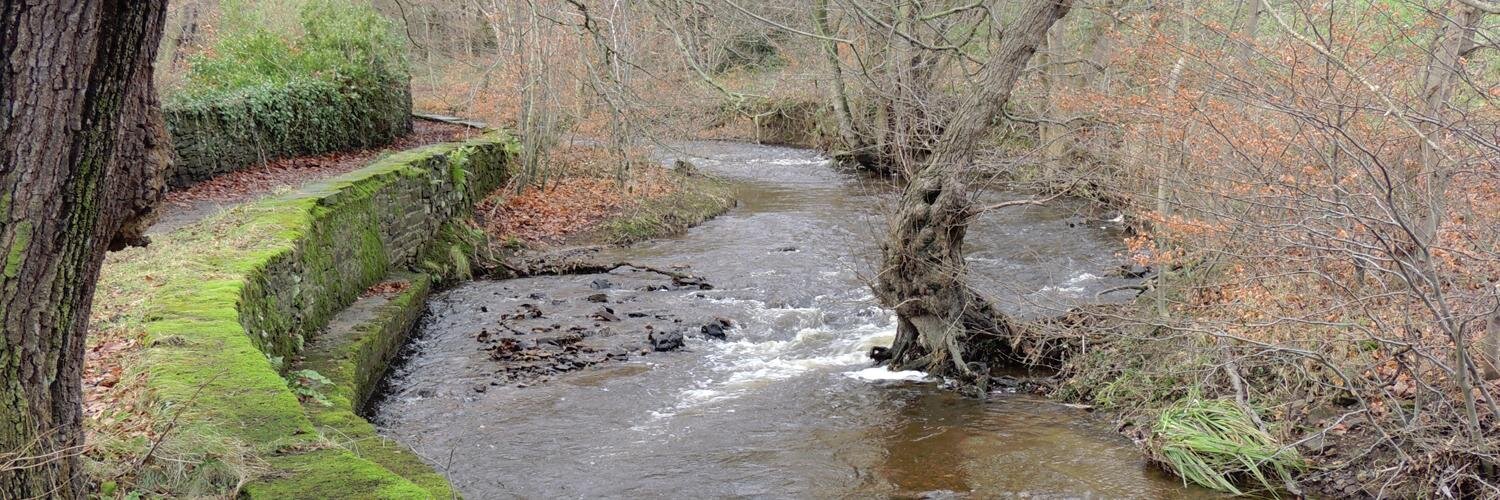 River_Sheaf's profile banner image