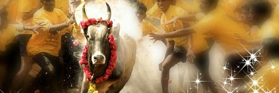 prabhus0909's profile banner image