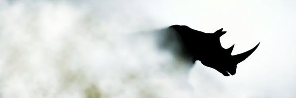 KryptoKamikaze Profile Banner