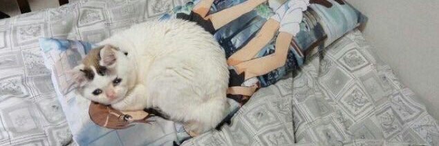El Hermano del Erik banner