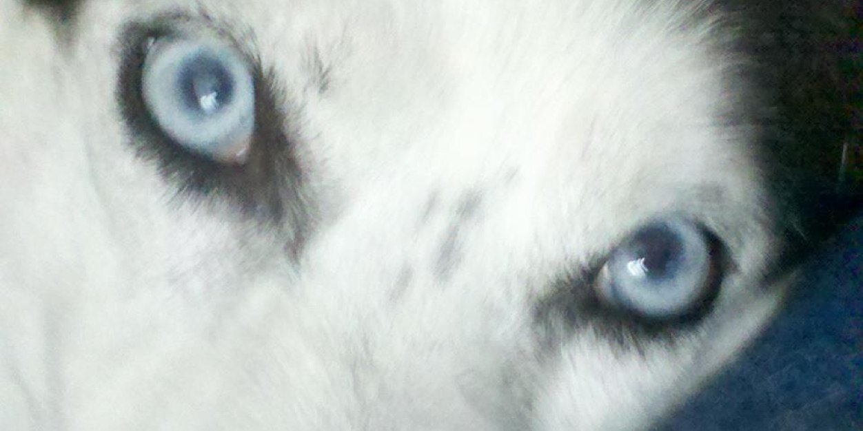 SwimAffect's profile banner image