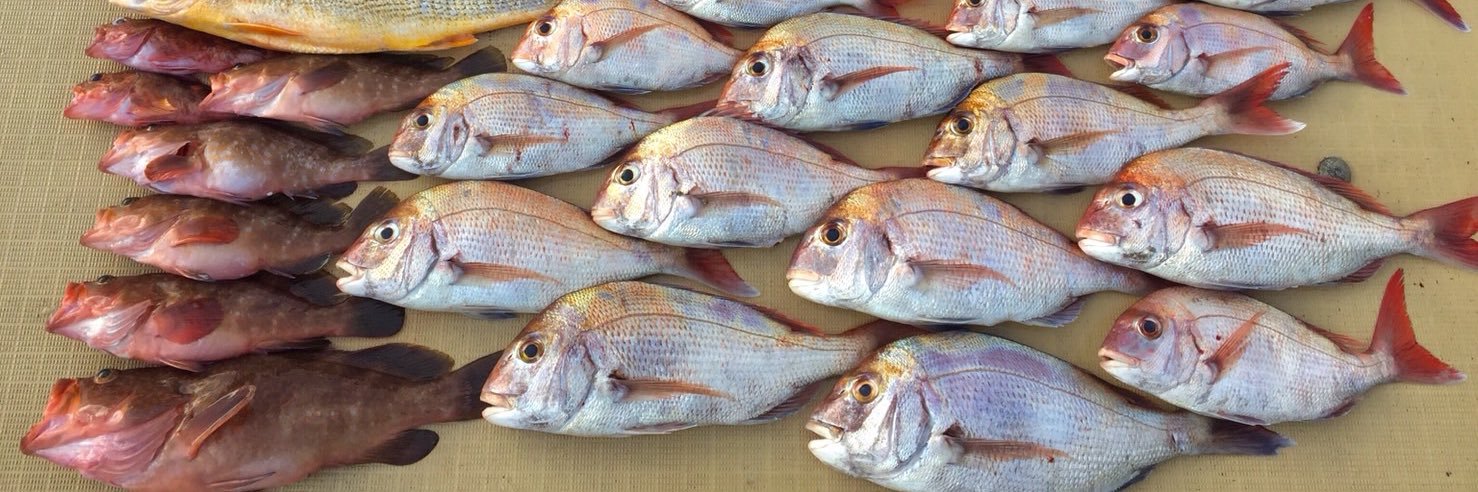 angler178's profile banner image