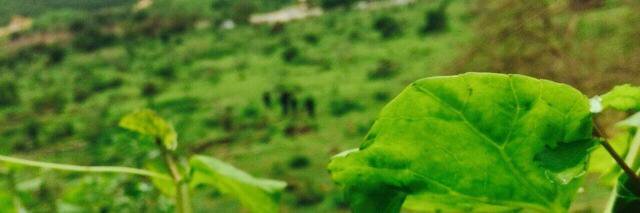 Awash161's profile banner image
