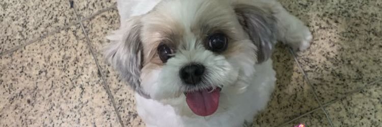 Nikkyaaaaaa's profile banner image