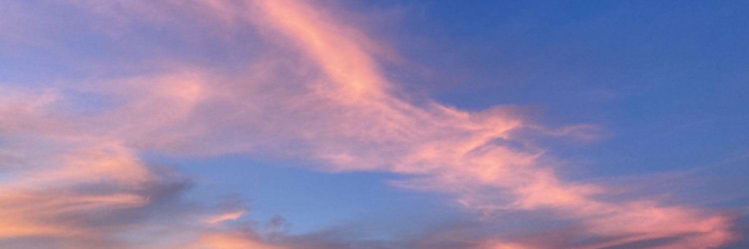 pibble_pabble's profile banner image