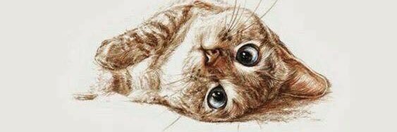 กวางนะจ๊ะ 🐈 banner