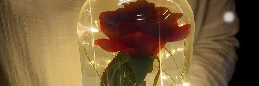 qtiful_sam28's profile banner image