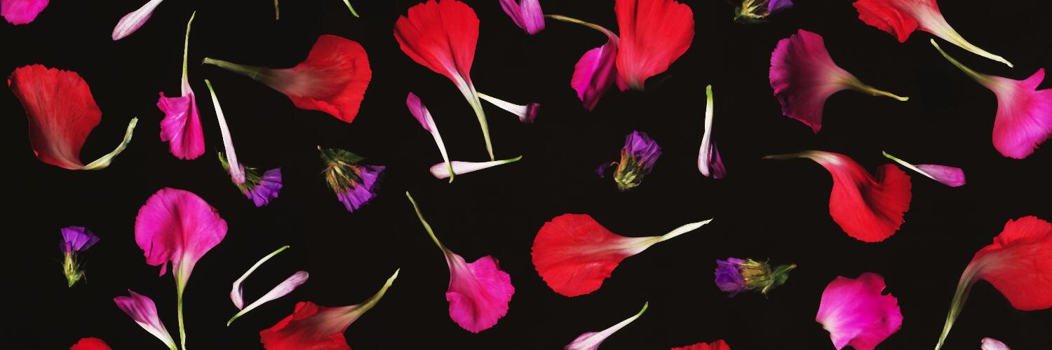evilibby's profile banner image