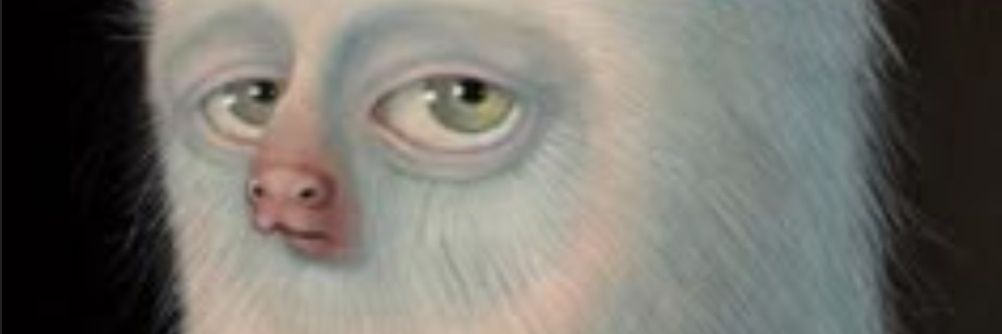 caarlos05_🦧| Historia secreta (AI) banner