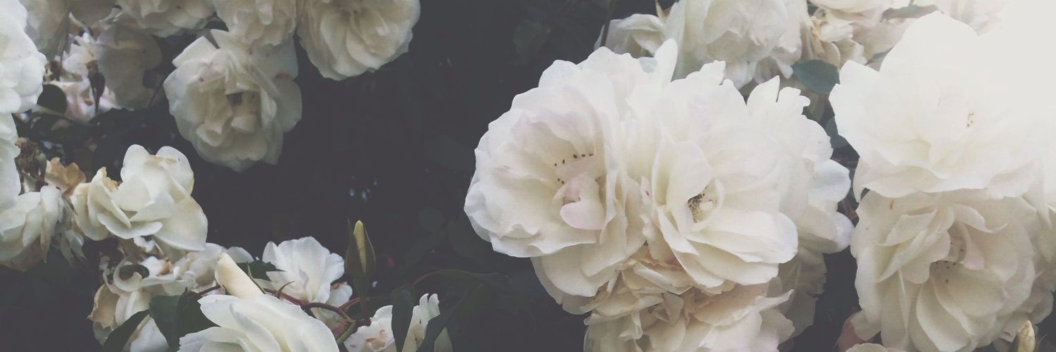 mmyraaa1's profile banner image