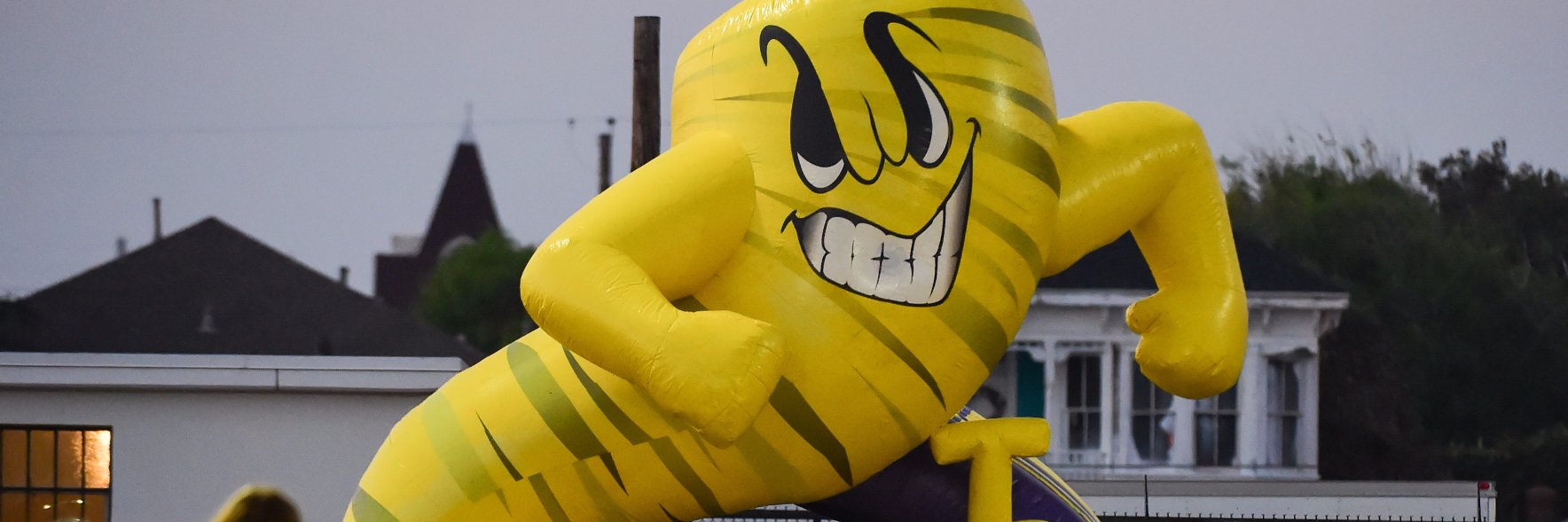 Kimble Anders banner