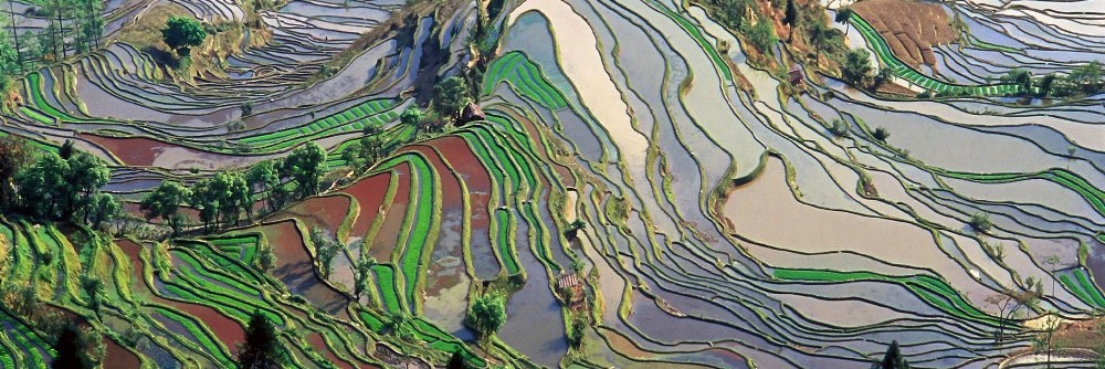 Land Economics Journal banner