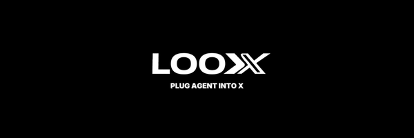 LooX banner
