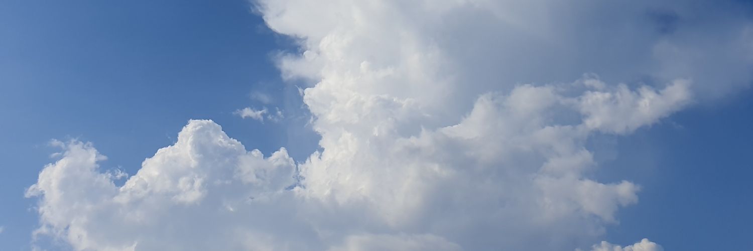 Nally_39's profile banner image
