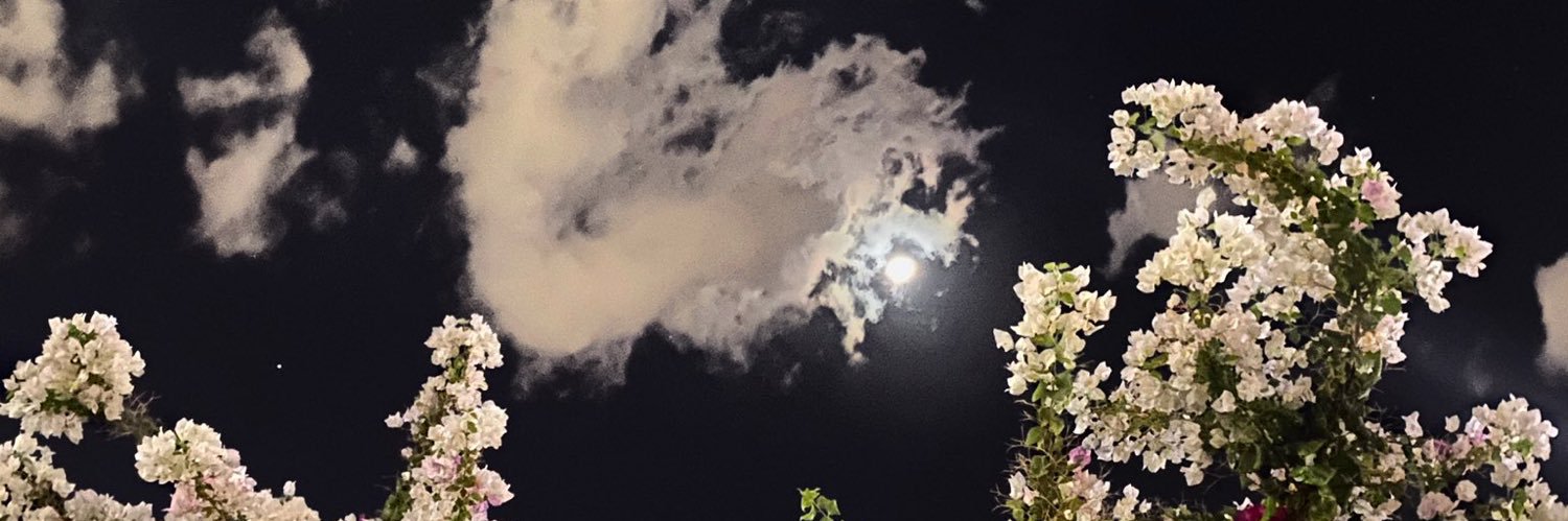 ROF_2's profile banner image