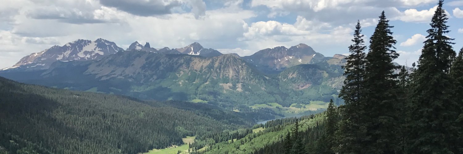 Critical Vole banner