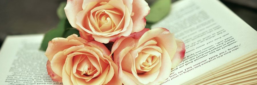 nana77tti's profile banner image