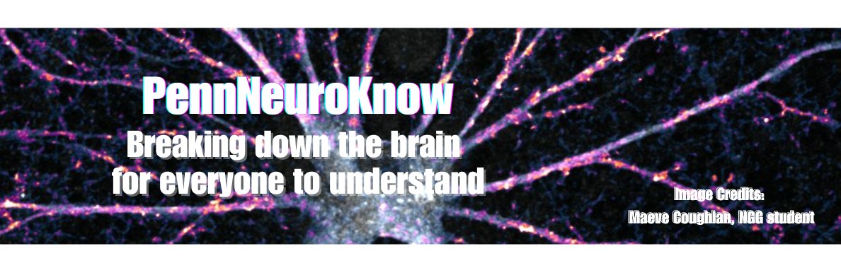 PennNeuroKnow's banner