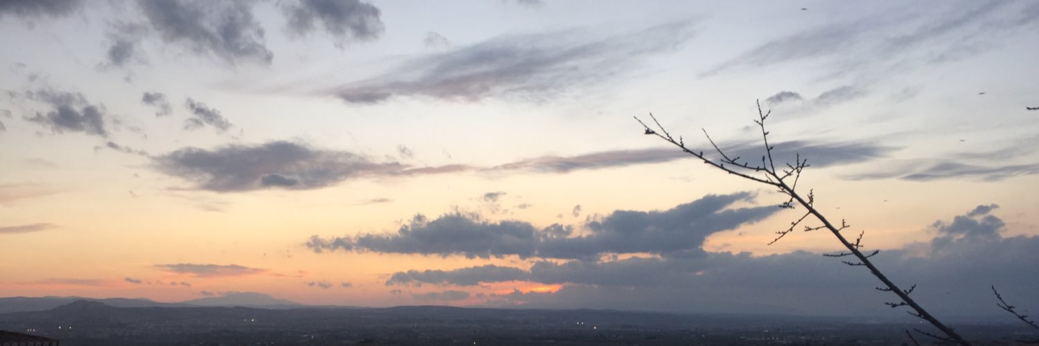 silvissil8's profile banner image