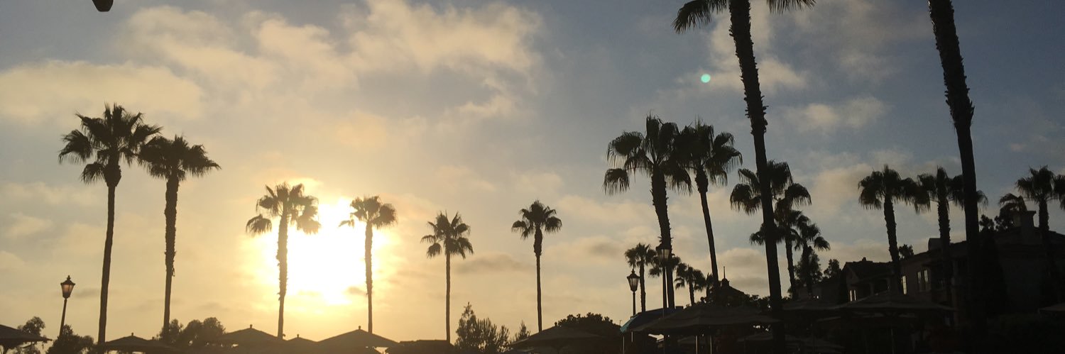 suecacch's profile banner image