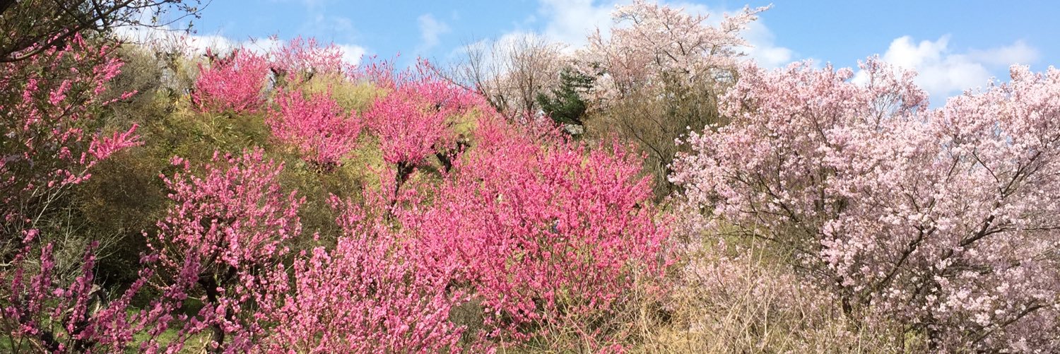 熊上崇研究室（和光大学）'s banner
