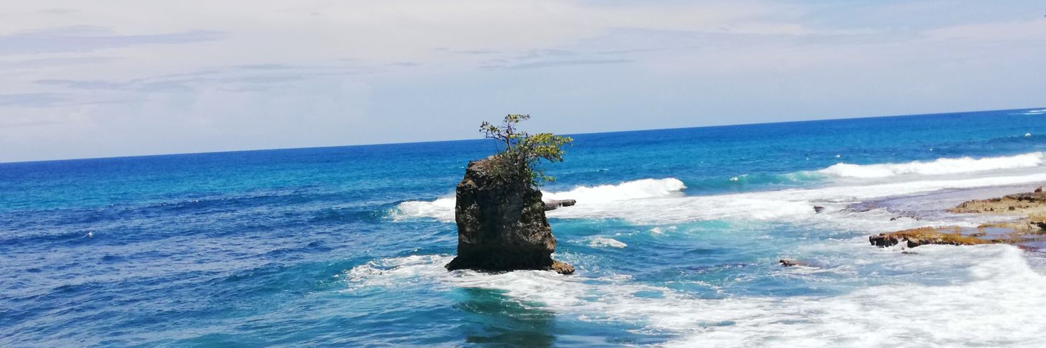maikol_solis's profile banner image