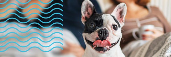 sesloc Profile Banner
