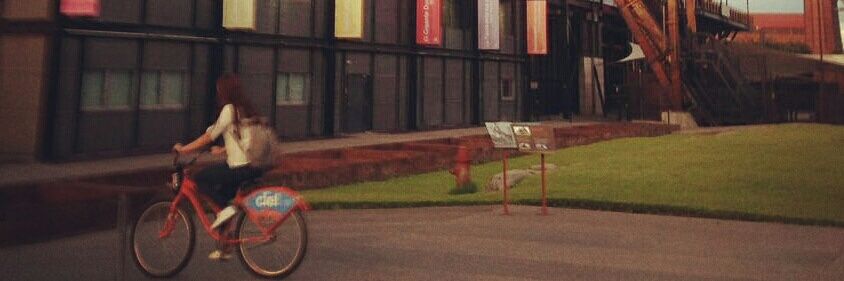 Lupita Gonzalez banner