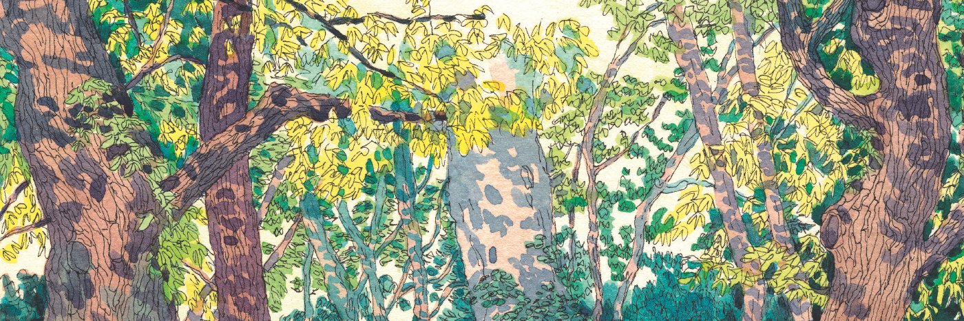 Flora Meaudre banner