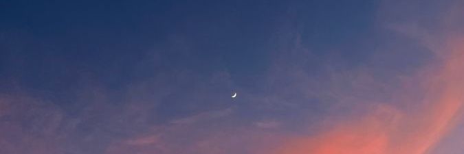 rosiie_a's profile banner image