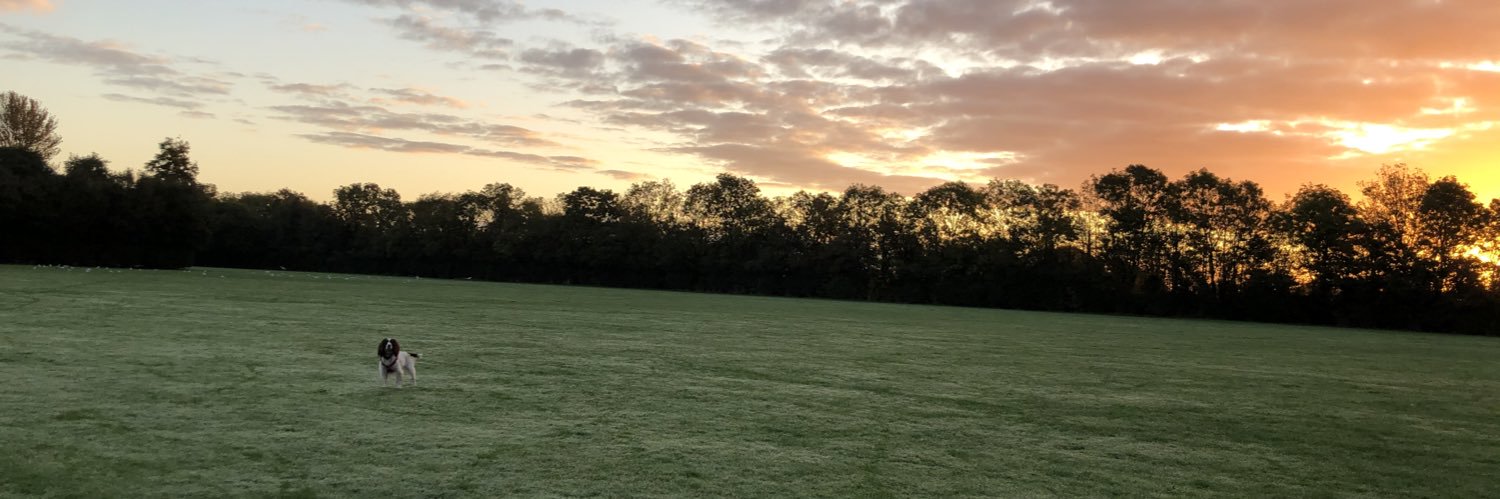 Sue Jones 💙 banner