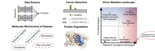 ctokheim Profile Banner