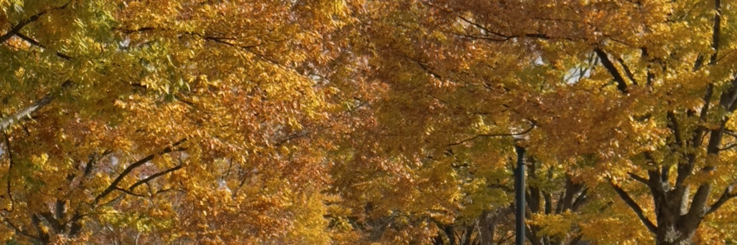 Vannanass's profile banner image