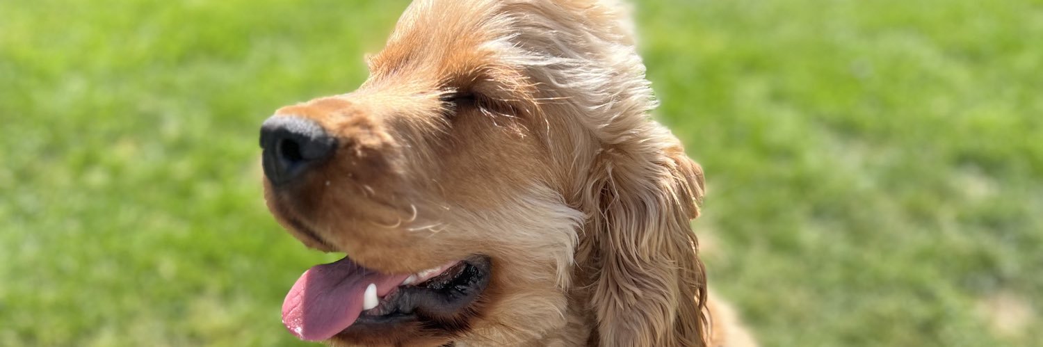 snorreklanderud's profile banner image
