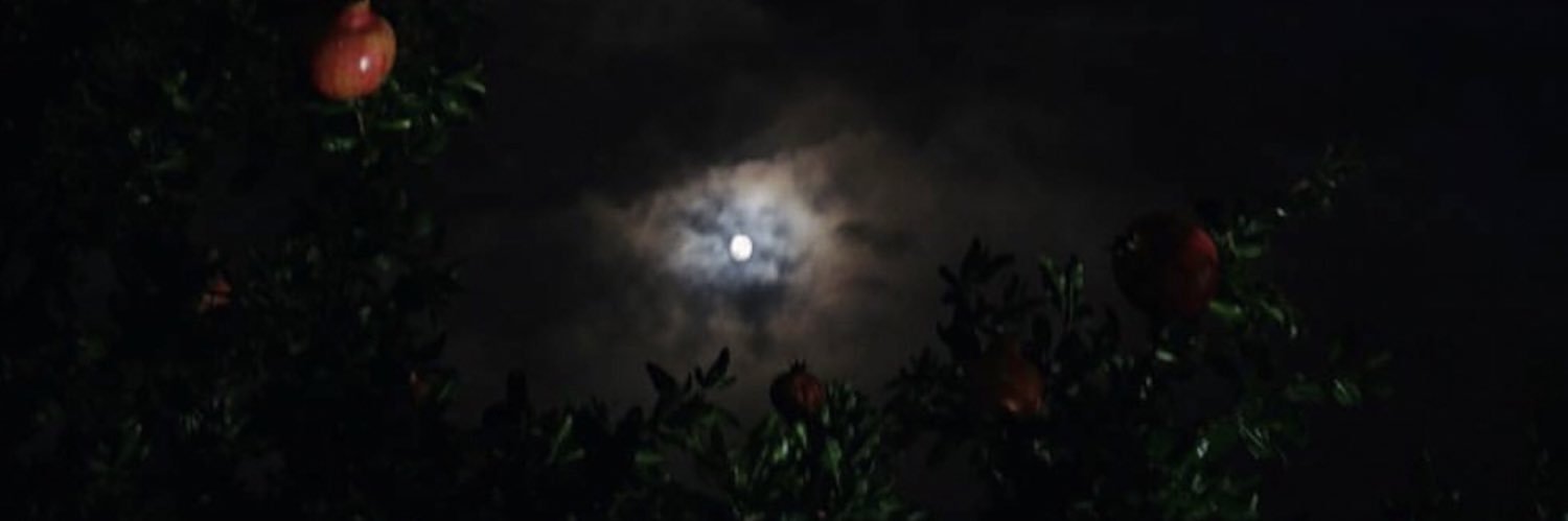 Intisar_IQ's profile banner image