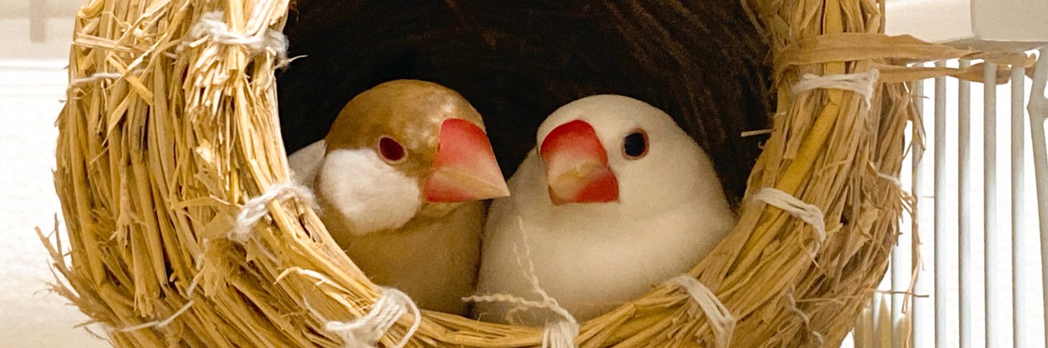 L_Red_R_H's profile banner image