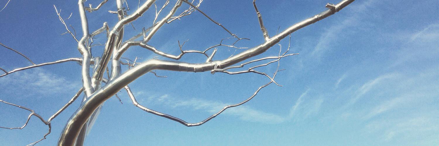 Xes4eyes's profile banner image