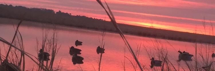 Mason Stookey banner