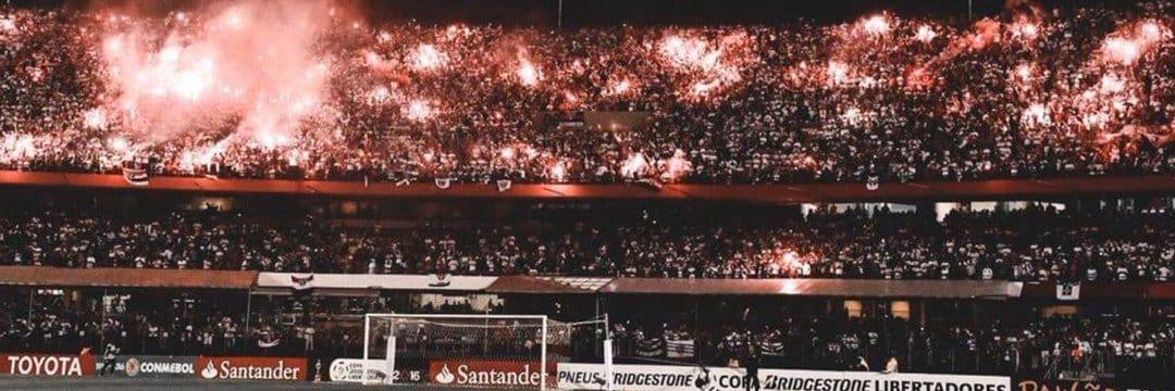 Fernanda Fernandes banner