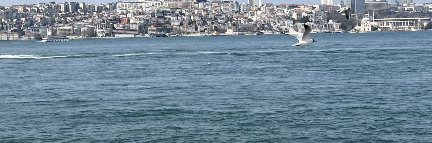 maherhamedh's profile banner image