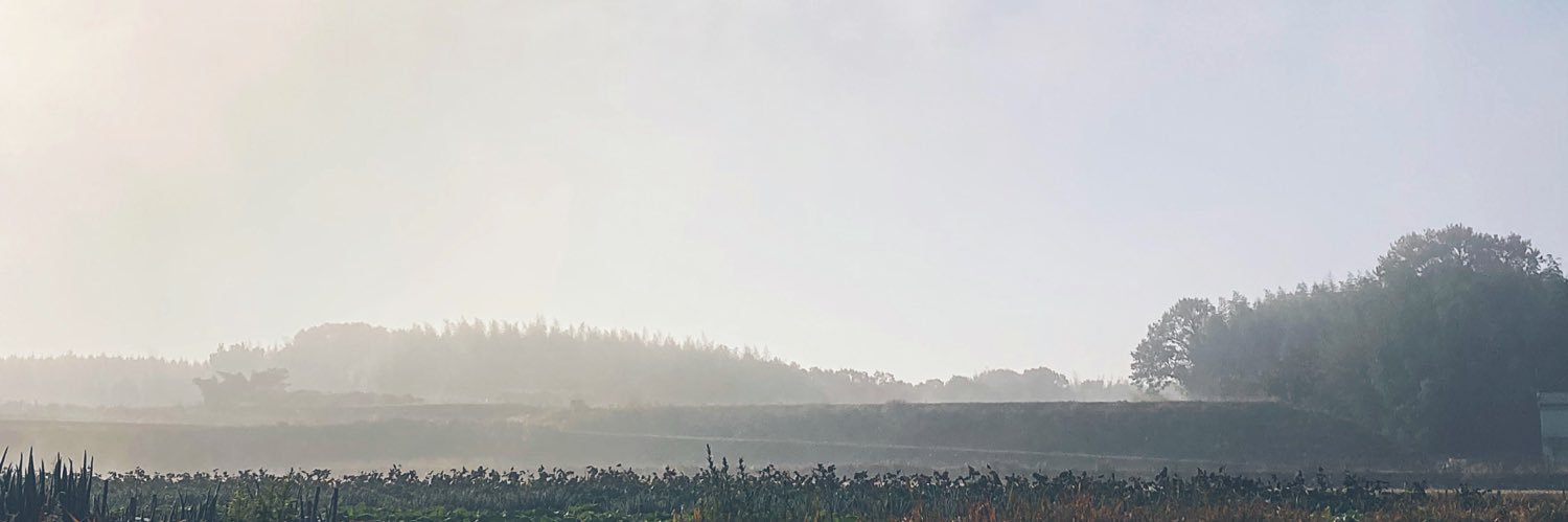 gwachi's profile banner image