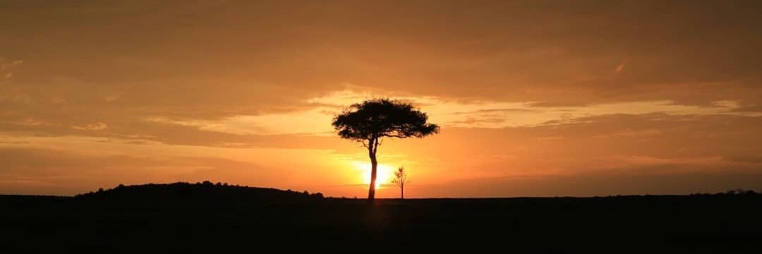 Jason Brotherton, MD, MS banner