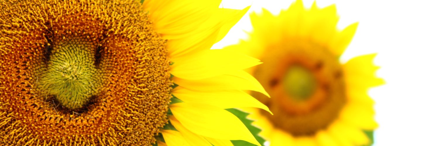 ikkun_0629's profile banner image