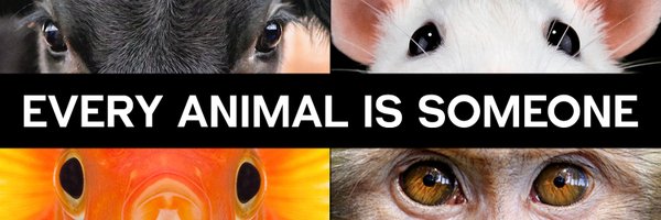 PETA Profile Banner