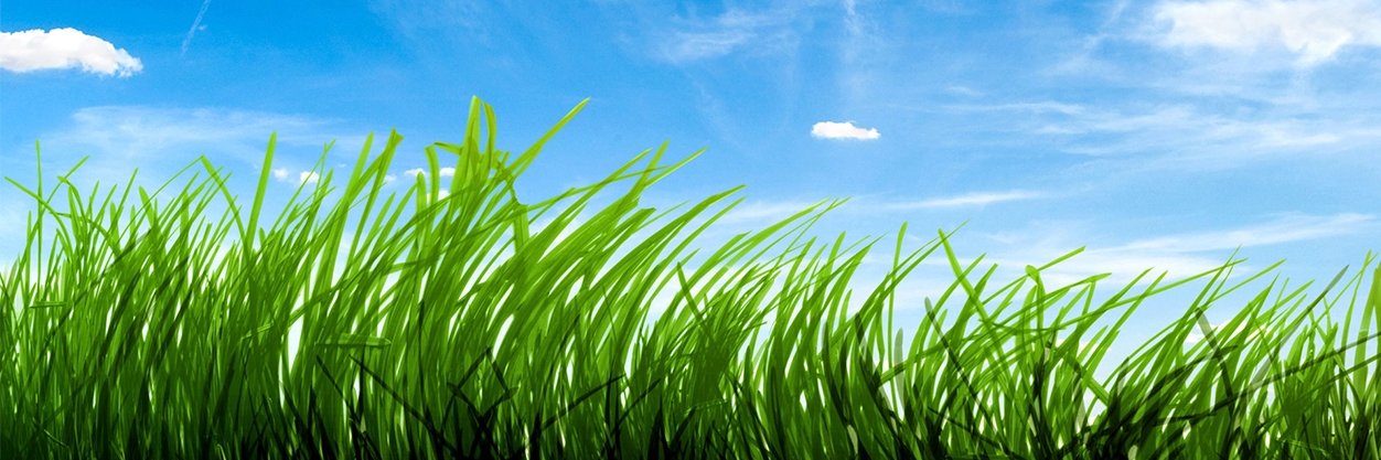 STH Health and Wellbeing banner