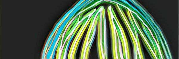 EggsVacuous Profile Banner