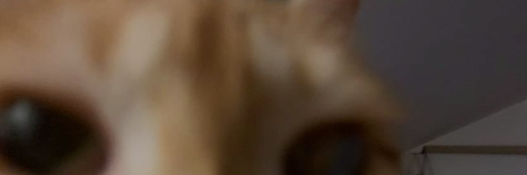 jadinosaurus's profile banner image