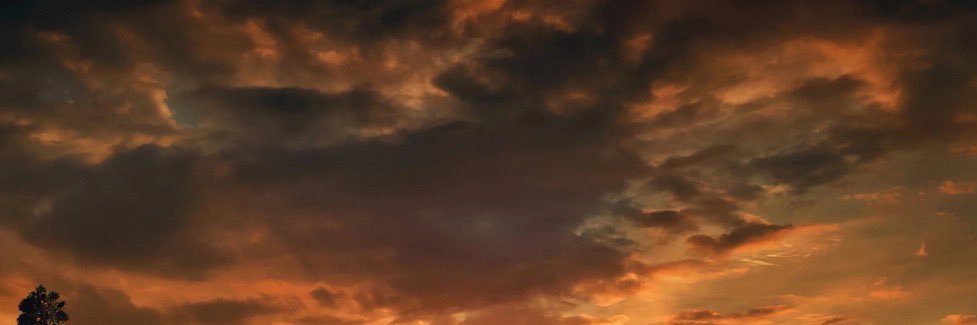 nishyzxc's profile banner image