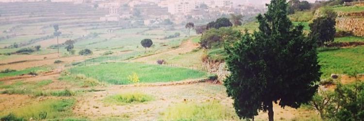 Observero_o's profile banner image