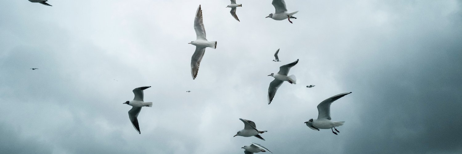 southard's profile banner image